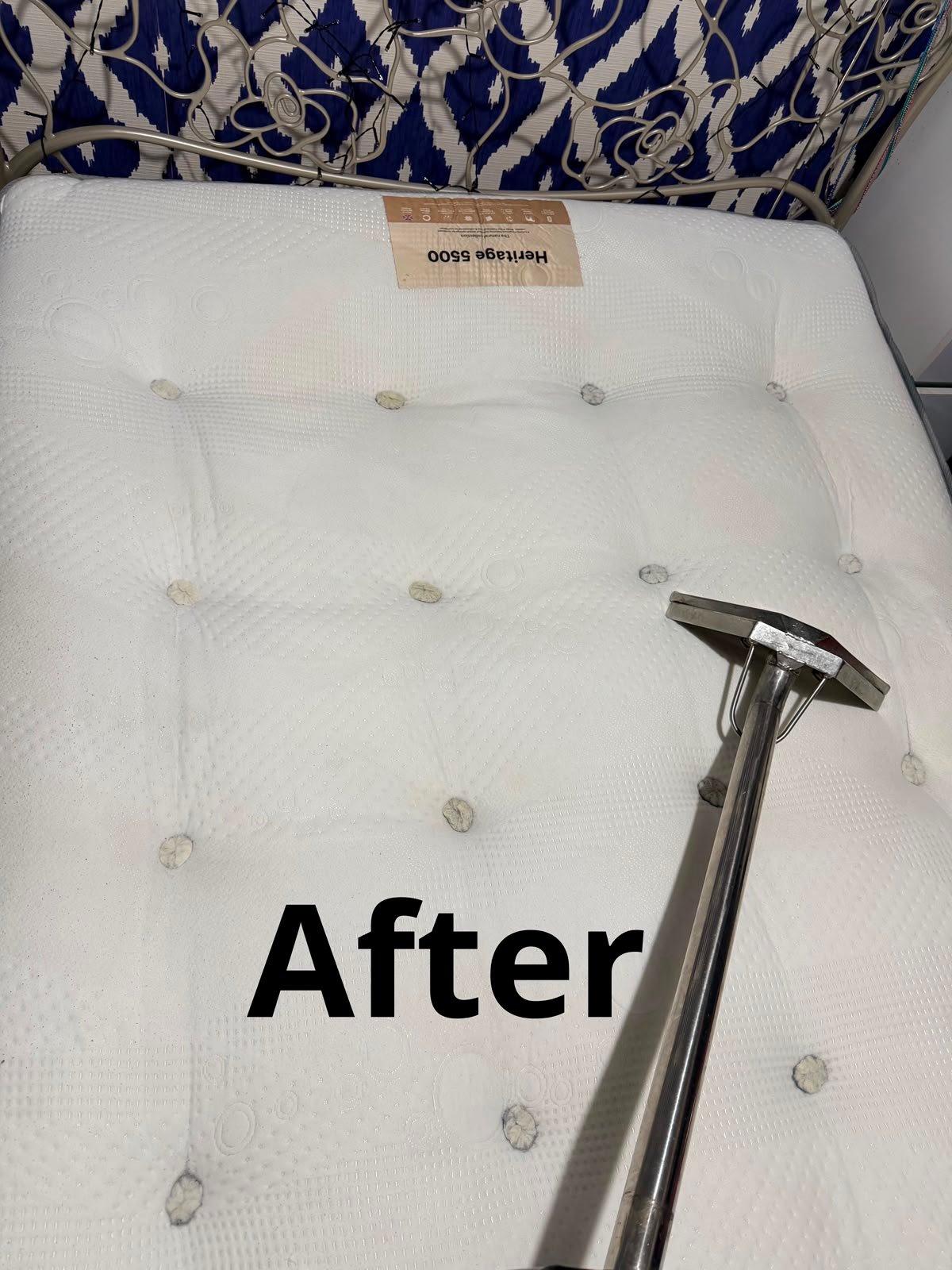 Carpet after cleaning