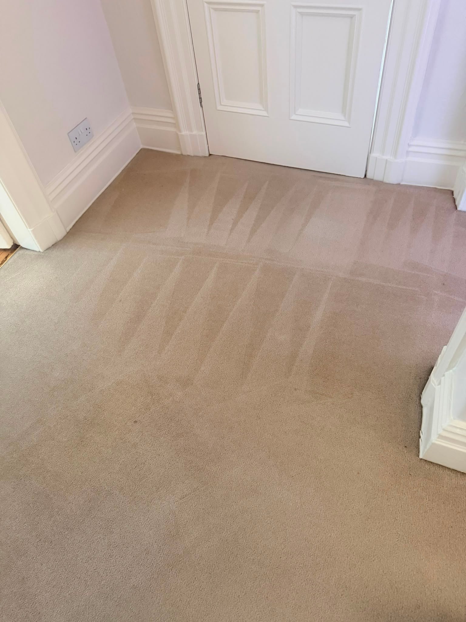 Professional carpet cleaning service in Manchester